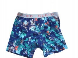 Men's Boxer